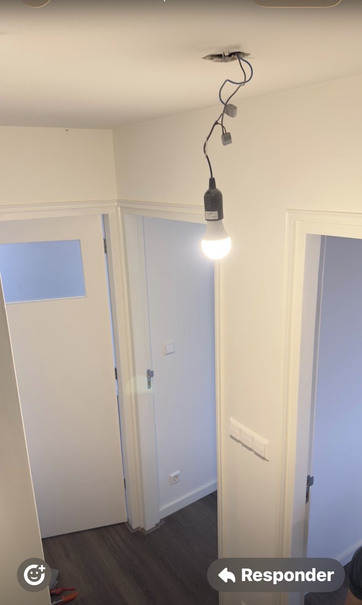 Meerdere binnendeuren en geschilderde wanden in een hal